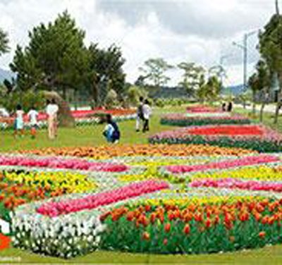 2013 culture and tourism week in Da Lat