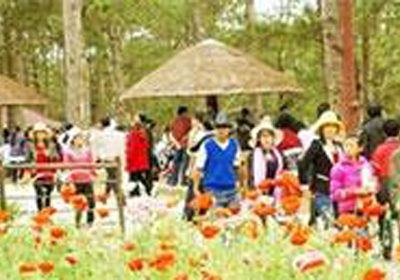 31 million domestic tourists reported in Jan-Sept