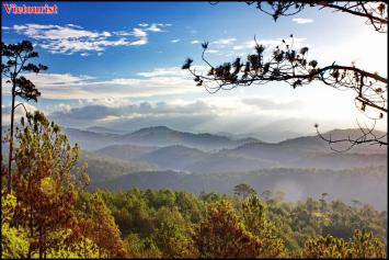 Dalat City- A Rhythmic Land of Flowers and Romance