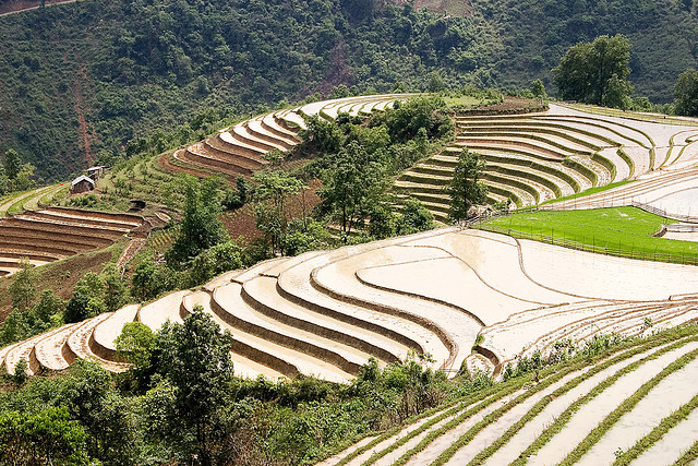 Sa Pa Terraces