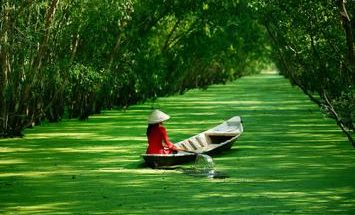 Ten million tourists visit Mekong River Delta