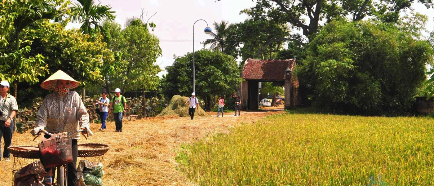 Vietnam Buffalo Tours